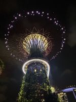 25.02.2025: Stadtrundgang in Singapur Supertrees 