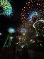 25.02.2025: Stadtrundgang in Singapur Supertrees