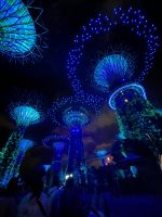 25.02.2025: Stadtrundgang in Singapur Supertrees