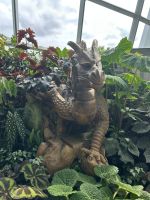 26.02.2025: Freizeit in Singapur Cloud Forest