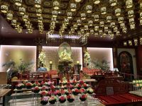 26.02.2025: Stadtrundfahrt in Singapur