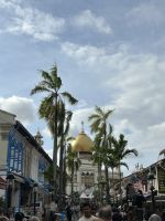 26.02.2025: Stadtrundfahrt in Singapur 