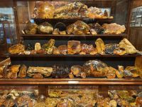 28.02.2025: Kauri Museum