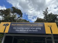 28.02.2025: Tane Mahota