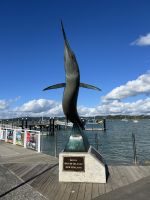 28.02.2025: Ankunft in Paihia