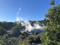 05.03.2025: Besuch in Te Puia: sprudelende Geysire