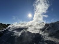 05.03.2025: Besuch in Te Puia: sprudelende Geysire