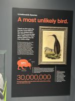 05.03.2025: Besuch in der KIWI Aufzuchtsstation