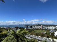 06.03.2025: Ankunft in Wellington: Blick auf die Stadt