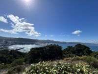 06.03.2025: Ankunft in Wellington: Aussicht vom Mount Victoria