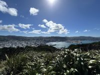 06.03.2025: Ankunft in Wellington:  Aussicht vom Mount Victoria