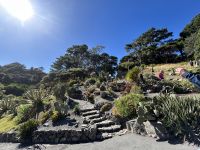 07.03.2025: Freizeit in Wellington Botanischer Garten