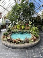 07.03.2025: Freizeit in Wellington Begonienhaus