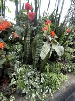 07.03.2025: Freizeit in Wellington Begonienhaus