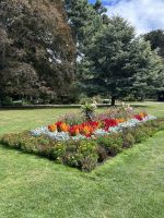 09.03.2025: Mittagspause in Christchurch Botanischer Garten