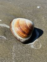 10.03.2025: am Strand der Moeraki Boulders