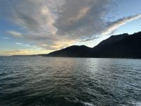 11.03.2025: Fjordland Nationalpark