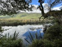 12.03.2025: Mirror Lake im Fjordland Nationalpark