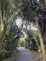 16.03.2025: Pancake Rocks