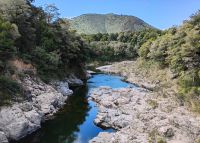 Pelorus bridge 