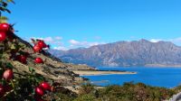 Lake Hawea
