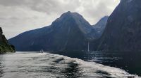 Milford Sound 