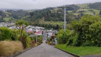 Baldwin Street, Dunedin 