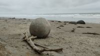 Moeraki Boulder