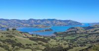 Blick auf Akaroa 