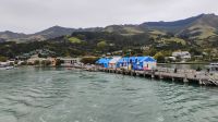 Abfahrt vom Hafen in Akaroa 