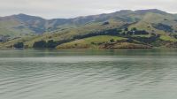 Delfintour mit dem Katamaran, Akaroa 