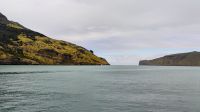 Delfintour mit dem Katamaran, Akaroa 