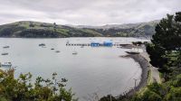 Lovers Lookout, Akaroa