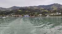 Abfahrt vom Hafen in Akaroa 