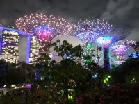 Singapur, Garden Rhapsodie Show, in den Super Trees versteckt sich technische Infrastruktur.