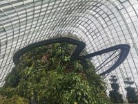 Singapur, Cloud Forest, eine 35 Meter hohe Bergkonstruktion ist mit Orchideen, Bromelien und Anthurien bedeckt.