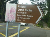 Singapur, die vier Landessprachen: Englisch, Malaiisch, Tamil und Chinesisch