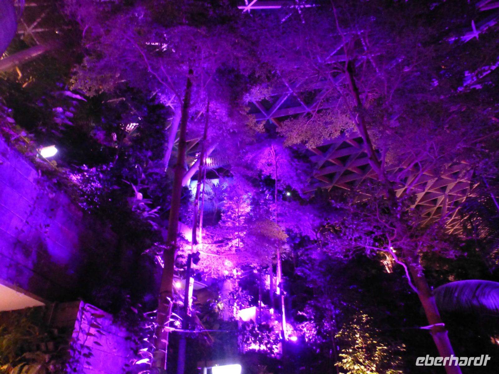 Singapur, Changi Airport, die illuminierten Bäume gruppieren sich um den Wasserfall wie in einem Amphitheater.