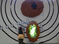 Kauri Museum Matakohe, so mächtige Bäume wurden gefällt.