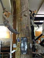 Kauri Museum Matakohe, Harzgewinnung - arbeitsaufwendig und gefährlich 