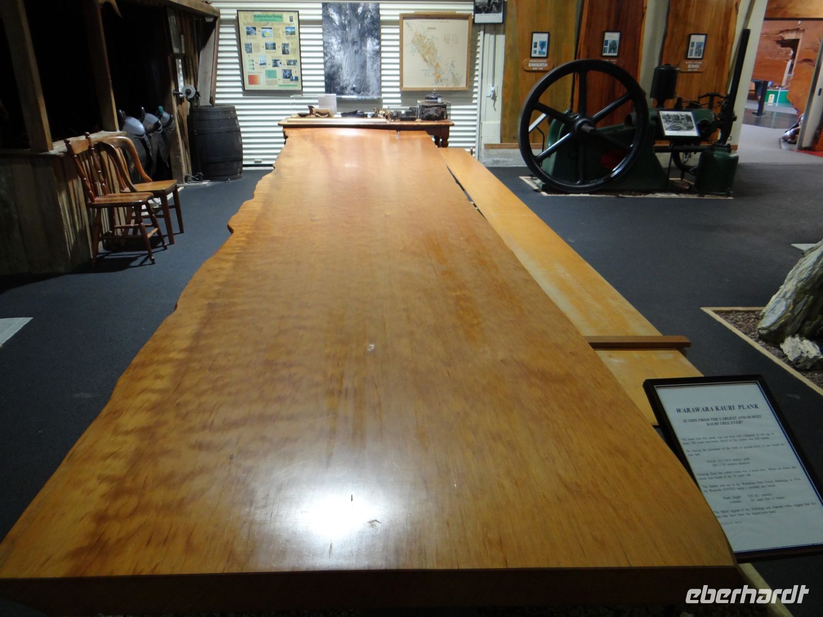 Kauri Museum Matakohe, besser eine Tischplatte als Bauholz zu werden.