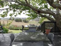 Kauri Museum Matakohe, unsere erste Mittagspause in Neuseeland