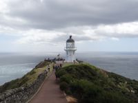 Cape Reinga, ein schöner Ort für die Lebenden.