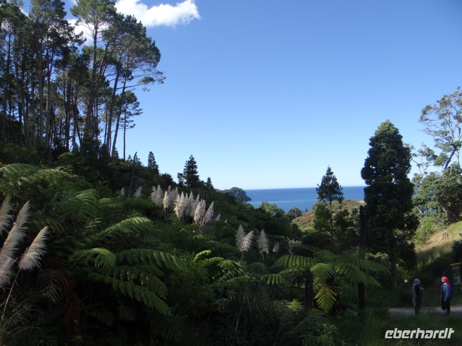 Cathedral Cove, nun geht es wieder zum Bus.