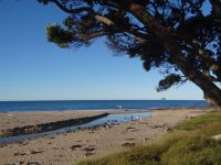 Hot Water Beach, der restliche Strand ist ohne Besucher.