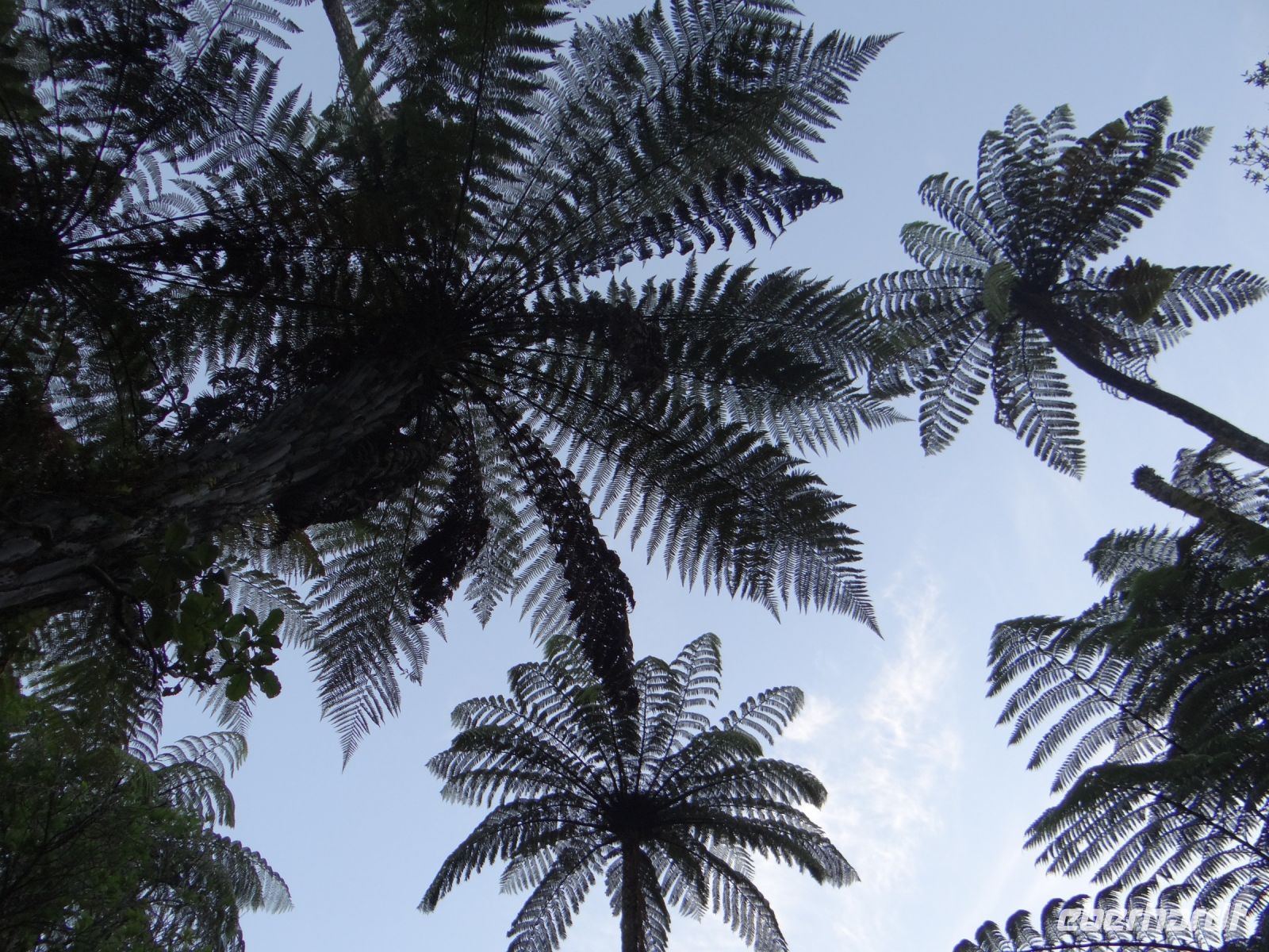 Maori Village Mitai, willkommen zur Veranstaltung