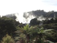 Te Puia, hier kommt die Wärme aus dem Boden.