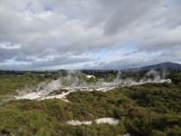 Te Puia, schläft hier ein Drachen?