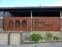 Kiwi Hatchery Aotearoa, und hier werden sie ausgebrütet.