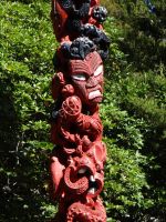 Wairakei-Terrassen, der Pfahl markiert das Eigentum.